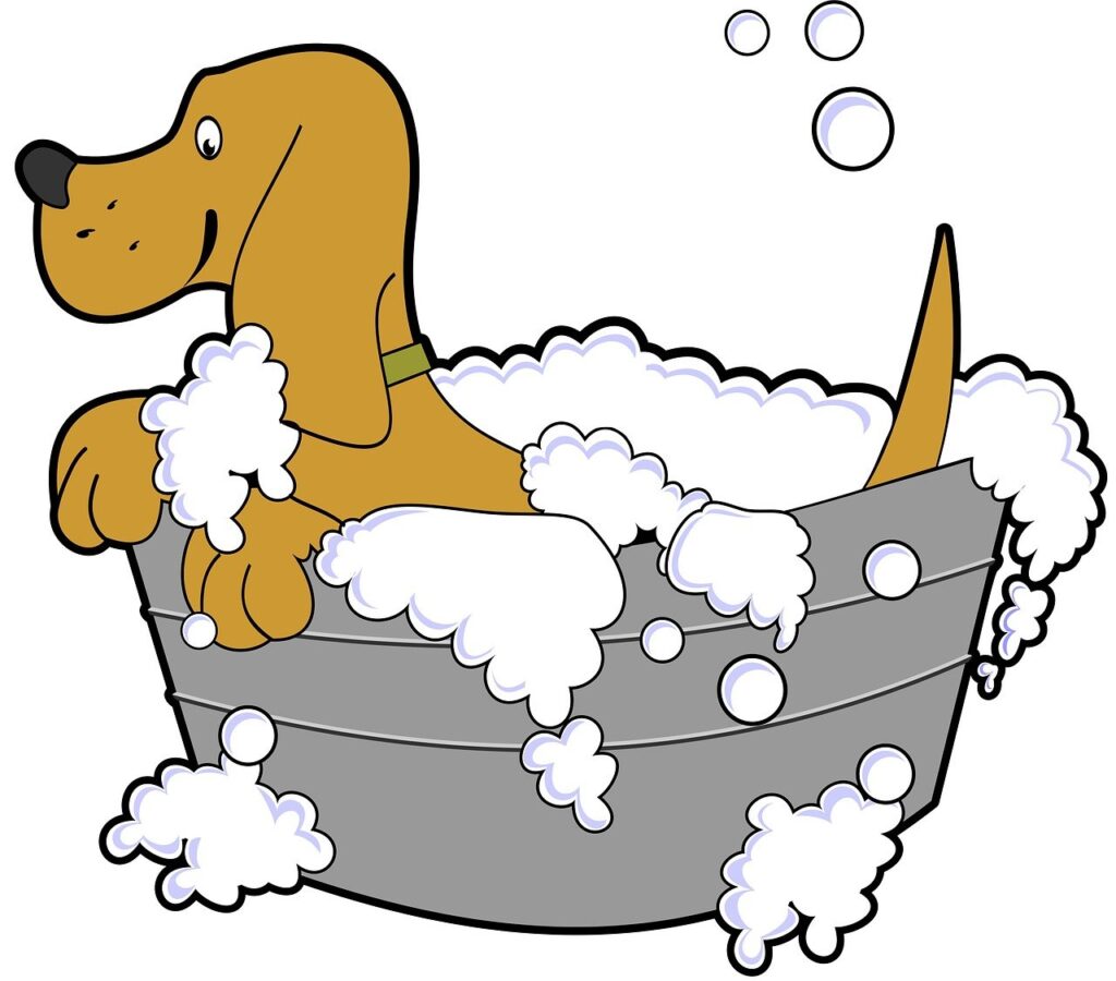 Do Dogs Prefer Warm Water Baths